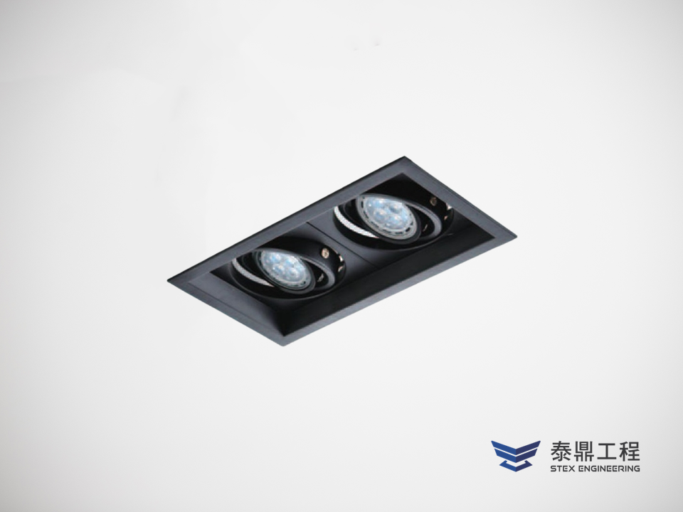 【方形嵌燈】 110×210mm (嵌孔) - 2燈 14W # 2309.006