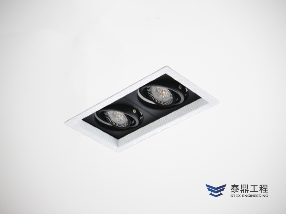 【方形嵌燈】 110×210mm (嵌孔) - 2燈 14W # 2309.004