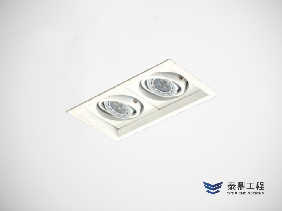【方形嵌燈】 110×210mm (嵌孔) - 2燈 14W # 2309.005