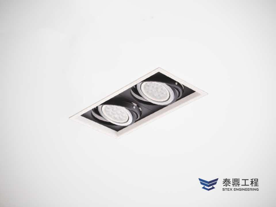 【方形嵌燈】 160×310mm (嵌孔) - 2燈 30W # 2315.001