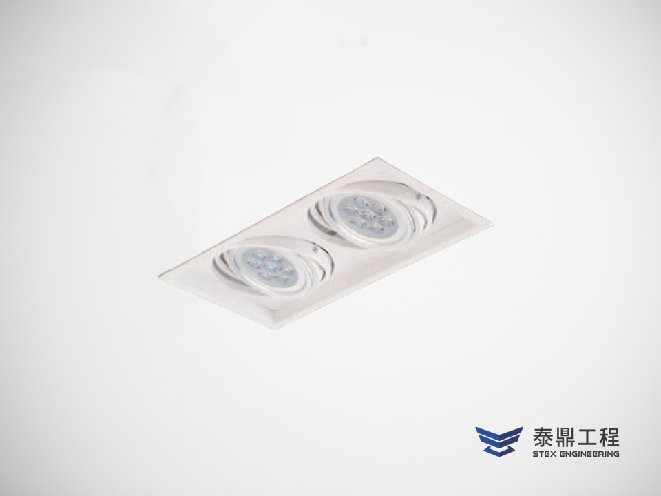 【方形嵌燈】 160×310mm (嵌孔) - 2燈 30W # 2315.002